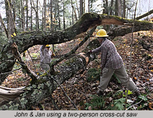John & Jan using a two-person cross-cut saw