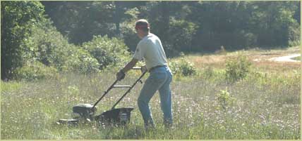 mowing spotted knapweed