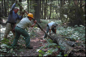 trail clearing